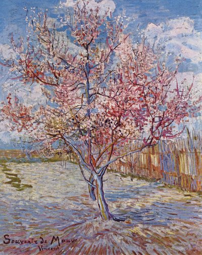 Grasfleck von Vincent van Gogh